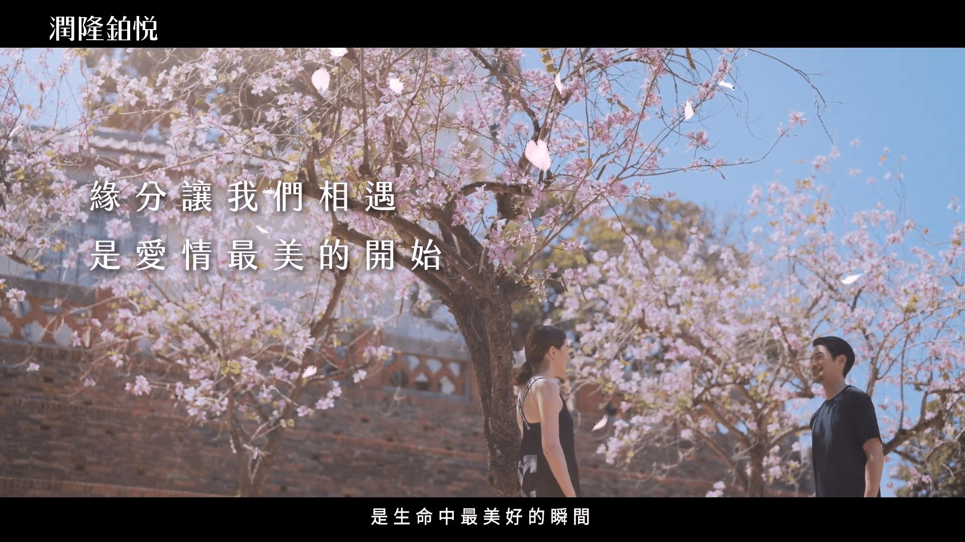 ▲▼台南,安平,潤隆鉑悦,市政特區,富人灣,邁阿密,海景。（圖／翻攝自影片）